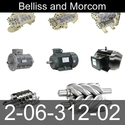Image of 2-06-312-02 for belliss and morcom air compressor