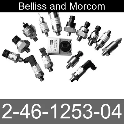 Image of 2-46-1253-04 for belliss and morcom air compressor