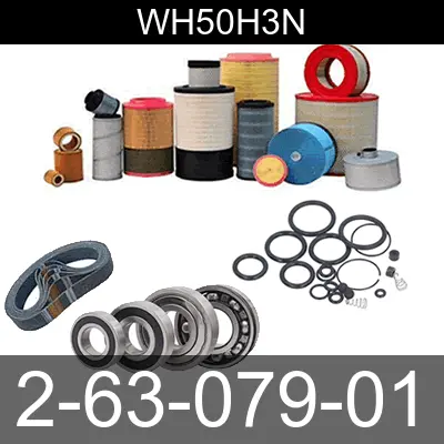 Image of 2-63-079-01 for belliss and morcom air compressor