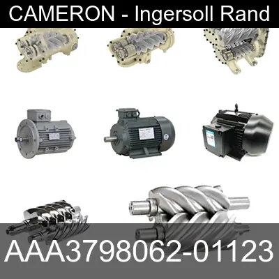 Image of AAA3798062-01123 for cameron ingersoll rand air compressor
