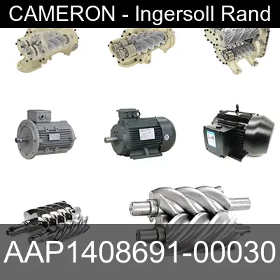 Image of AAP1408691-00030 for cameron ingersoll rand air compressor