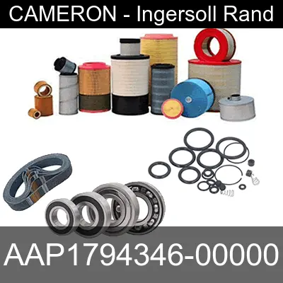 Image of AAP1794346-00000 for cameron ingersoll rand air compressor