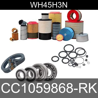 Image of CC1059868-RK for belliss and morcom air compressor