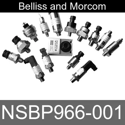 Image of NSBP966-001 for belliss and morcom air compressor