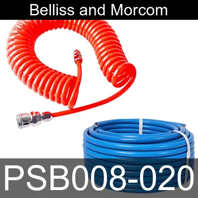 Image of PSB008-020 for belliss and morcom air compressor