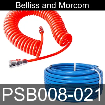 Image of PSB008-021 for belliss and morcom air compressor