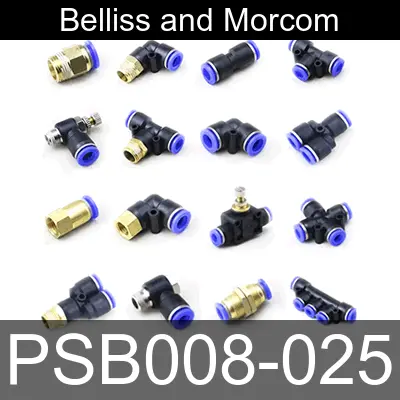 Image of PSB008-025 for belliss and morcom air compressor