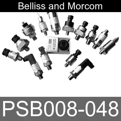Image of PSB008-048 for belliss and morcom air compressor