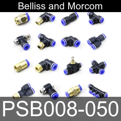 Image of PSB008-050 for belliss and morcom air compressor