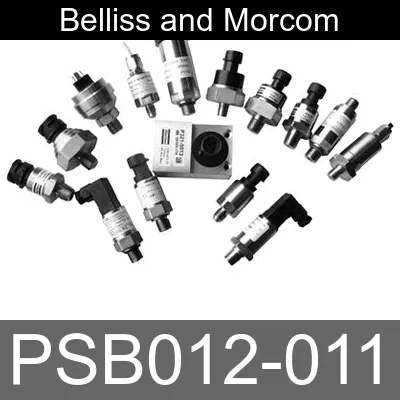 Image of PSB012-011 for belliss and morcom air compressor