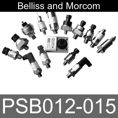Image of PSB012-015 for belliss and morcom air compressor