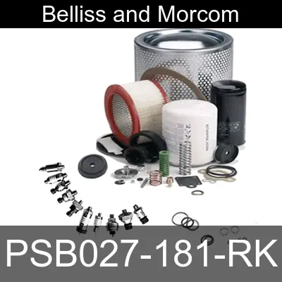 Image of PSB027-181-RK for belliss and morcom air compressor