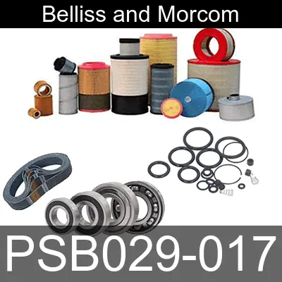 Image of PSB029-017 for belliss and morcom air compressor