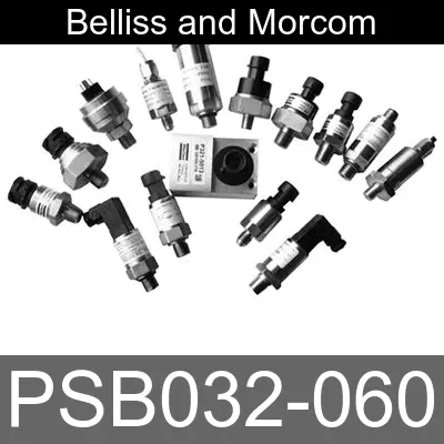 Image of PSB032-060 for belliss and morcom air compressor