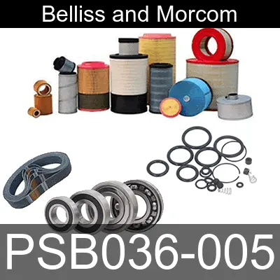 Image of PSB036-005 for belliss and morcom air compressor