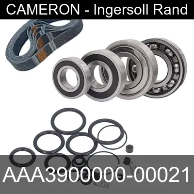 Image of AAA3900000-00021 for cameron ingersoll rand air compressor