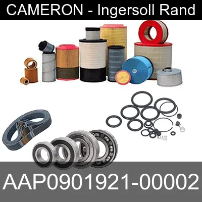 Image of AAP0901921-00002 for cameron ingersoll rand air compressor
