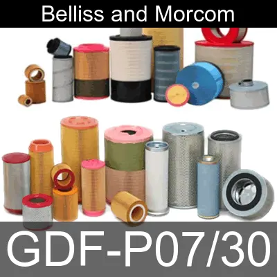 Image of GDF-P07-30 for belliss and morcom air compressor