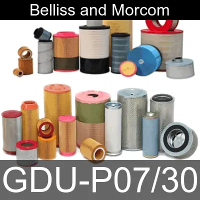Image of GDU-P07-30 for belliss and morcom air compressor