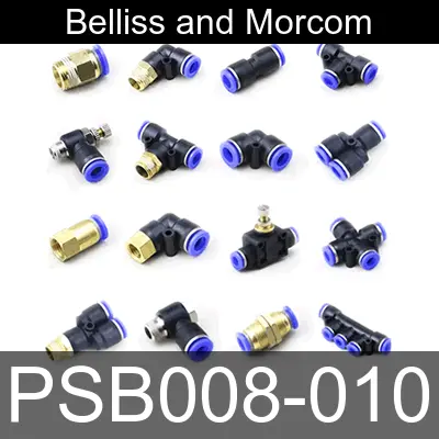 Image of PSB008-010 for belliss and morcom air compressor