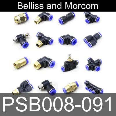 Image of PSB008-091 for belliss and morcom air compressor
