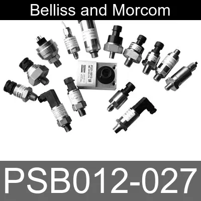 Image of PSB012-027 for belliss and morcom air compressor